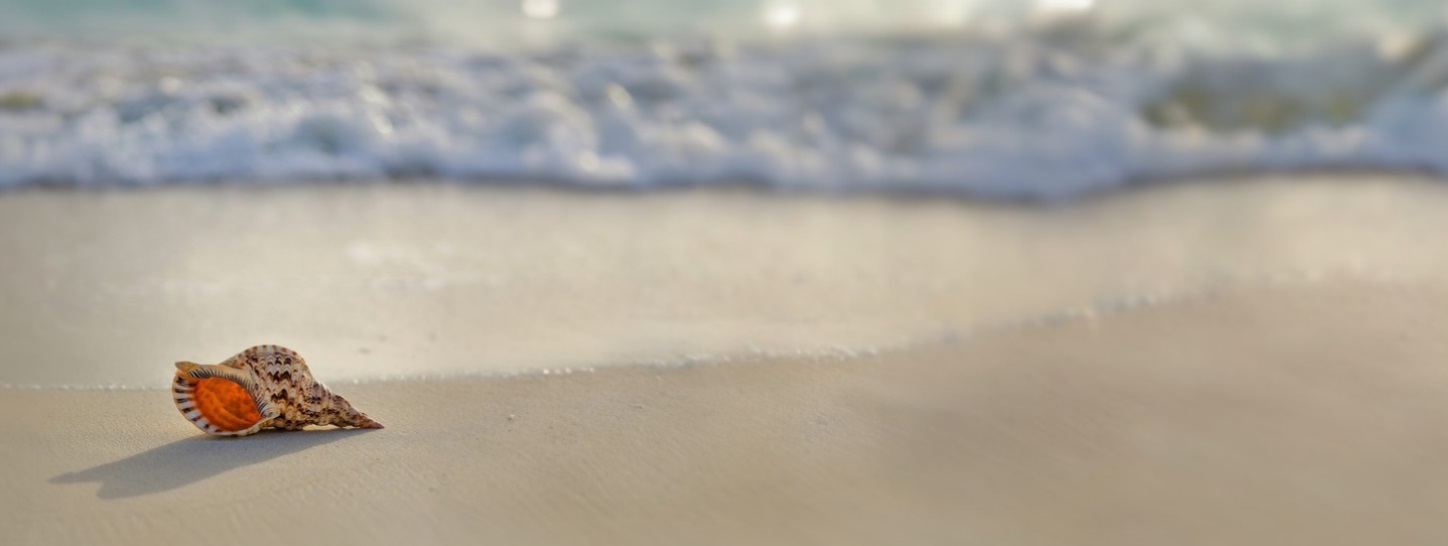 空家対策特別措置法について